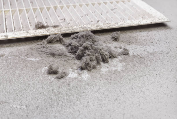 Best HVAC Duct Inspection Services  in Waukee, IA
