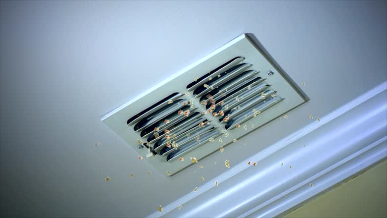 Best Local Air Duct Cleaning Services  in Waukee, IA
