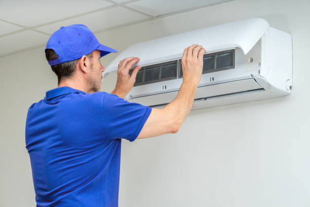Best Air Duct Sanitizing Services  in Waukee, IA